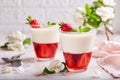 Layered dessert in glass with vanilla panna cotta and jelly with strawberries