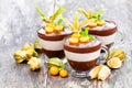 Layered dessert with physalis on wooden table Royalty Free Stock Photo