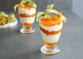 Layered dessert with protein yoghurt and physalis fruit on grey table Royalty Free Stock Photo