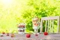 Layered dessert with raspberry, strawberry, black currant and kiwi, cream and biscuits in glasses