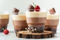 Layered dessert Trifles in a transparent glass. Sponge biscuit and three chocolate mousse layers. Chocolate souffle trifle cake Royalty Free Stock Photo