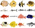 Vector illustration collection of fishes