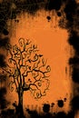 Halloween and fall scene of spooky spider webs grunge background and spooky tree