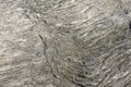 Layered Greyish White Natural Rough Sandstone Flowing Lines Surface Texture Royalty Free Stock Photo