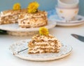 Layered honey cake with chantilly cream