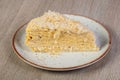 Layered Napoleon Cake