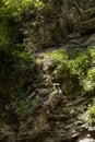 Layered rock with bizarre curved crumpled layers overgrown lush green plants in sunbeams in summer sunny day, texture, geology.