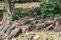 Layered Rock Formation in Central India