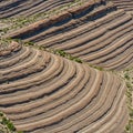 Layered rock formations create striking, wavy patterns in an arid landscape. T