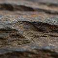 Layered rock surface with distinct strata, showing a rugged and weathered texture.