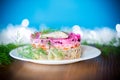 layered salad of boiled vegetables with beets and herring on a plate Royalty Free Stock Photo