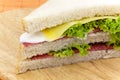 Layered sandwich isolated on orange Royalty Free Stock Photo