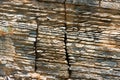 Layered Sedimentary Rock - Liguria Italy