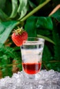 Layered shot cocktail decorated with strawberry on ice. isolated on green background. Royalty Free Stock Photo