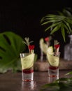 Still life with cocktails and tropical leaves