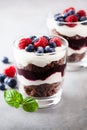 Layered trifle dessert with chocolate sponge cake, whipped cream, berries and fruit jelly in serving glasses Royalty Free Stock Photo