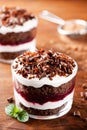 Layered trifle dessert with chocolate sponge cake, whipped cream and fruit jelly in serving glasses Royalty Free Stock Photo