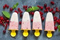 Layered vanilla and berry ice cream overhead shot Royalty Free Stock Photo