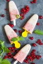 Layered vanilla and berry ice cream overhead shot Royalty Free Stock Photo