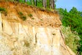 Layers of earth on a clay cliff under a spruce forest with layers of stones in the Northern taiga Royalty Free Stock Photo