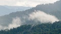 Layers of high mountain, foggy on rain forest. Royalty Free Stock Photo