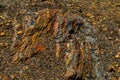 Layers of iron ore deposits