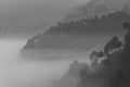 Layers of mountains with pine trees, fog and mist Royalty Free Stock Photo