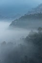 Layers of mountains with pine trees, fog and mist Royalty Free Stock Photo