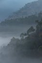 Layers of mountains with pine trees and mist Royalty Free Stock Photo