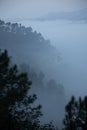 Layers of mountains with pine trees and mist Royalty Free Stock Photo