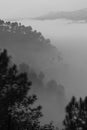 Layers of mountains with pine trees and mist Royalty Free Stock Photo