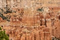 Layers of Orange Comprise Hoodoos in Bryce Royalty Free Stock Photo