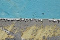 Layers of peeling paint background Royalty Free Stock Photo