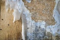 Layers of peeling wallpaper, Bodie, California