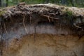 Layers of podzol soil Royalty Free Stock Photo