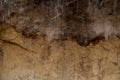 Layers of podzol soil Royalty Free Stock Photo