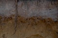 Layers of podzol soil Royalty Free Stock Photo