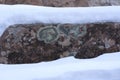 Layers of Snow and Sandstone with Lichen Rarely Seen in Arches National Park Utah