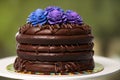 Layers of soft chocolate cake filled with cream