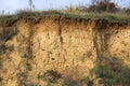 LAyers of soil