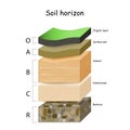 Layers of the soil. A cross section of a soil Royalty Free Stock Photo