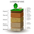 Layers of soil, education diagram. Mineral particles, sand, humus and stones