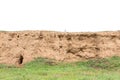 Layers of soil with green grass growing isolated on white