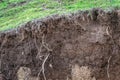 Layers of soil wet soil roots in soil soil profile soil zones gr Royalty Free Stock Photo