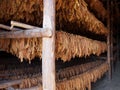 Layers Of Tobacco Leaves Drying In A Barn