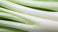 layers white green onion