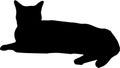 Laying black cat silhouette isolated on white background, Royalty Free Stock Photo