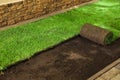 Laying grass sods at backyard. Home landscaping