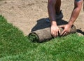 Laying sod Royalty Free Stock Photo