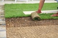 Laying sod for new lawn